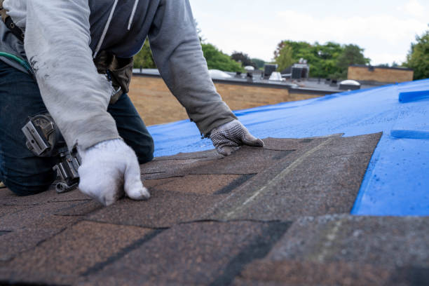 Best Tile Roofing Contractor  in Otsego, MI