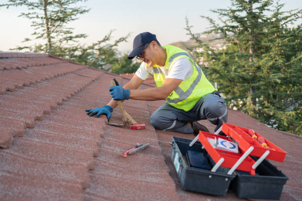 Best Affordable Roof Replacement  in Otsego, MI