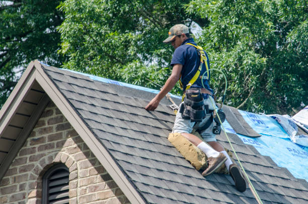 Best Shingle Roofing Installation  in Otsego, MI